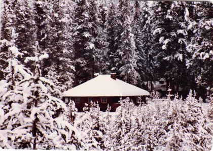 Cabin and Snowmobiles