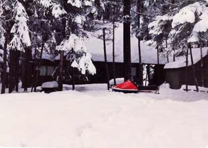 Cabin and Snowmobiles