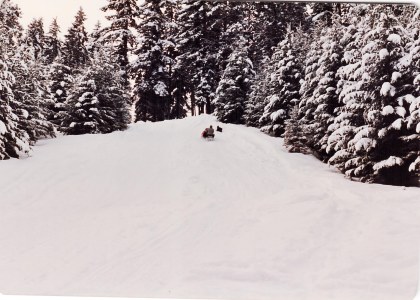 Cabin and Snowmobiles