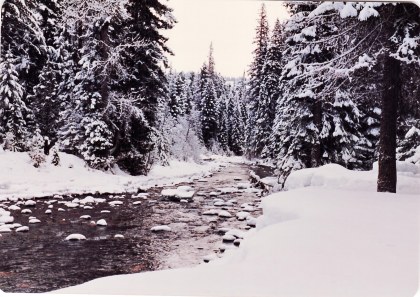 Cabin and Snowmobiles